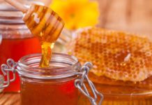 कास्कीको रुपा गाउँपालिकामा एक लाख लिटर मह उत्पादन