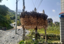 मकै भण्डारण