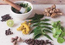 आर्थिक समृद्धिको आधार जडीबुटीः प्रशोधन र ‘ब्रान्डिङ’मा जोड