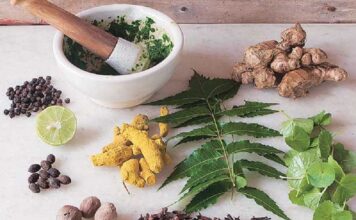 आर्थिक समृद्धिको आधार जडीबुटीः प्रशोधन र ‘ब्रान्डिङ’मा जोड