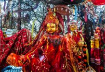 पाथीभरामा पुगे एकै महिनामा १० हजार बढी दर्शनार्थी