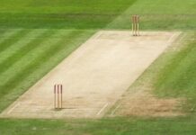 एनपिएल अक्सन : १५० खेलाडीको अन्तिम सूची घोषणा