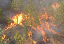 भोजपुरमा आजदेखि सुरु भयो ‘वन डढेलो व्यवस्थापन सप्ताह’