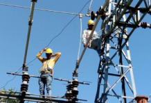 प्रसारण लाइन निर्माणका लागि रुखपोल हटाउन अनुमति