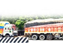 सुपारीको डीएनए परीक्षण अझै किन भएन ?