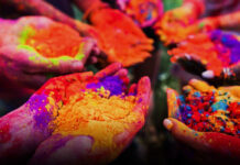 होलीमा ‘जोगिरा’ सुनिन छाड्यो, संस्कृतिप्रेमीहरू चिन्तित