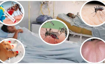 मकवानपुरमा डेङ्गी सङ्क्रमणमा वृद्धि