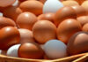 अण्डाको मूल्य बढ्यो