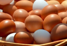 अण्डाको मूल्य बढ्यो