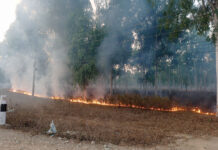 वन जोगाउन भोजपुरमा डढेलो नियन्त्रण अभियान सञ्चालन