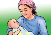 आमाको दूधको विकल्प खोज्न नहुने सरोकार भएकाहरूको जोड