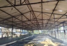 भद्रपुरको कुखुरा फर्ममा आगलागी, २५०० चल्ला मरे