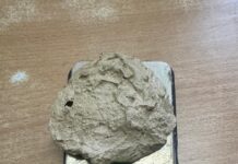 ब्राउन सुगरसहित एक जना पक्राउ