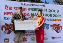 रेडपाण्डा म्याराथनः पुरुषतर्फ गजेन्द्र र महिलातर्फ निर्मलाले उपाधि जिते