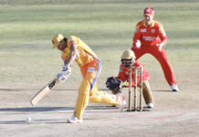 एनपिएलका खेलाडीका लागि ‘एनपिएल नाइट’