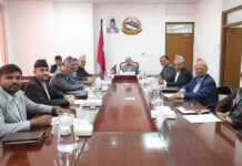 सरकारले ‘जेनजी’ प्रदर्शनका घाइतेहरूको शिक्षा, स्वास्थ्य तथा रोजगारीको व्यवस्था मिलाउने