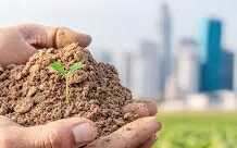 आज अन्तरराष्ट्रिय स्वयंसेवक दिवस, विश्व माटो दिवस पनि आजै