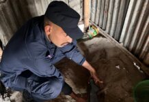 प्रहरीबाट लुटिएको हतियार गाडेको अवस्थामा फेला