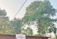 लायन्स क्लव अफ अनारमनीद्वारा निःशुल्क स्वास्थ्य शिविर