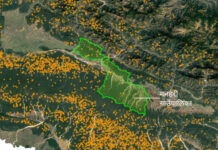 उद्यमसहितको वन व्यवस्थापनले आगलागी शून्य