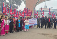 विद्युतीय पोलमा राष्ट्रिय झण्डा