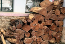 वन कार्यालयद्वारा काठ बरामद