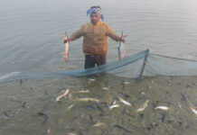 माछापालनबाट आत्मनिर्भर बन्दै शैलेन्द्र