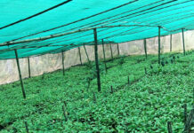 षडानन्दमा ‘गरिबी निवारणका लागि प्राङ्गारिक कफीखेती कार्यक्रम’