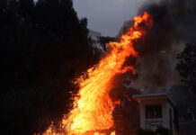 खासा क्षेत्रको वनमा भीषण डढेलो लागेपछि तातोपानी नाका बन्द