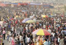 माई मेलामा चोरीको बिगबिगी