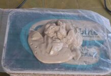 ब्राउन सुगर र प्रतिबन्धित औषधिसहित दुई जना पक्राउ