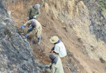 धौलागिरि आइसफल जोड्ने पदमार्ग निर्माण