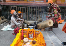 पशुपतिनाथमा दर्शनार्थीसहित साधुसन्तहरूको घुइँचो