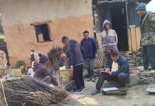 व्यावसायिक स्याउ खेती सुरु गर्दै वैकुण्ठेका किसान