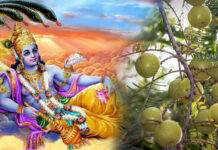 आमलकी एकादशी परिचय, कथा र व्रत विधान