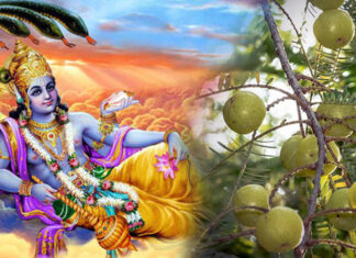 आमलकी एकादशी परिचय, कथा र व्रत विधान