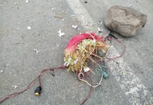 परालको डल्लो राखेर बमको आतंक