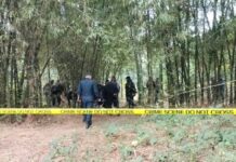 सुई प्रहारबाट झापामा एक व्यक्तिको हत्या, अभियुक्त पक्राउ