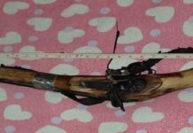 भरुवा बन्दुकसहित एक जना पक्राउ