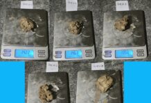 लागू औषध सहित पाँच जना पक्राउ