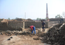 रौतहटमा बेमौसमी वर्षाले काँचो इँटा नष्ट : बीमा गर्न माग