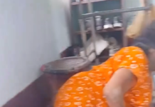 आमा कुटेको आरोपमा छोरा पक्राउ, आमाको उपचार हुँदै