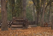 कञ्चनपुरमा डढेलोको जोखिम बढ्दो, पूर्वतयारी कमजोर