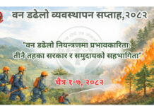 डढेलो व्यवस्थापन सप्ताह आजदेखि सुरु