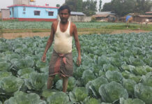 तरकारीखेतीले चिनिँदै बाह्रदशीको राधानगर गाउँ