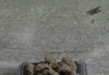 भद्रपुरमा ठूलो परिमाणमा लागूऔषध बरामद , ७ जना पक्राउ