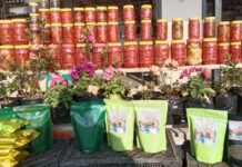 जहाँबाट ‘कोसेली’ नबोकी फर्किन्नन् पर्यटक