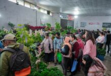 ‘फ्लोरा एक्स्पो’ : एक करोड २२ लाख बढीको कारोबार