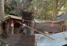 उदयपुरमा रुखले किचेर दुई जनाको मृत्यु