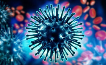 बैतडीको महरागाउँमा ‘इन्फ्लुएञ्जा बी’को सङ्क्रमण